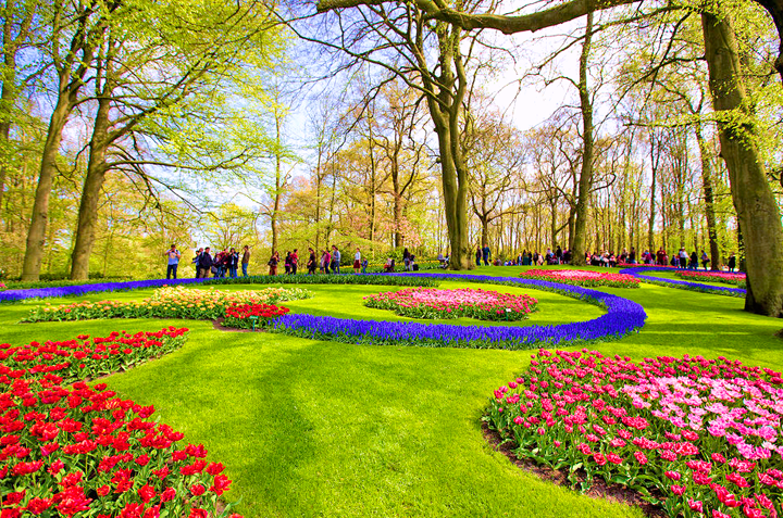 Du Lịch Châu Âu Sài Gòn - Lễ Hội Hoa Keukenhof (T4/2015)